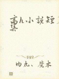 高h小说短篇合集封面