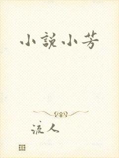 小说小芳