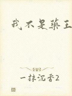 我不是药王封面