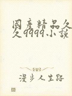 国产精品久久久久9999小说