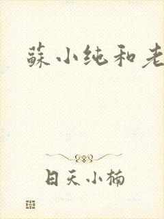 苏小纯和老苏封面