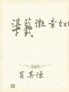 湛蓝徽章txt下载封面