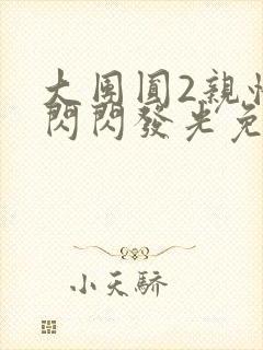 大团圆2亲情会闪闪发光免费