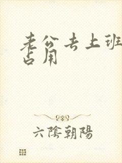 老公去上班公公占用封面