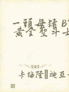 一头母猪 BY 黄金圣斗士