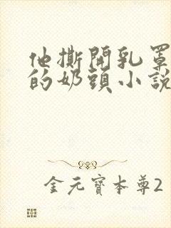 他撕开乳罩吸我的奶头小说