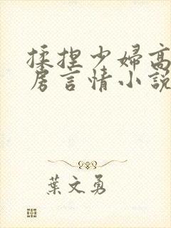 揉捏少妇高耸乳房言情小说