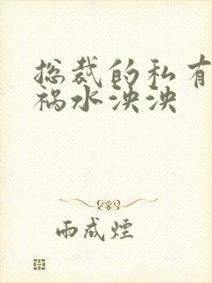 总裁的私有宝贝祸水泱泱封面