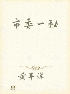 市委一秘封面
