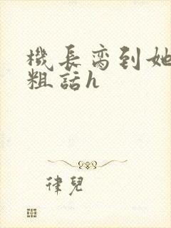 机长脔到她哭h粗话h封面