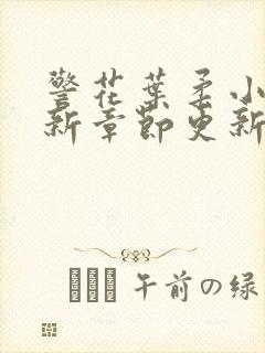 警花叶柔小说最新章节更新