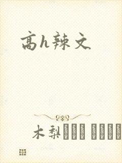 高h辣文