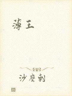 薄王封面
