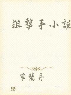 狙击手小说封面