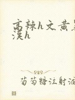 高辣h文黄暴糙汉h