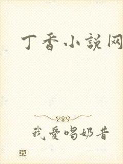 丁香小说网封面