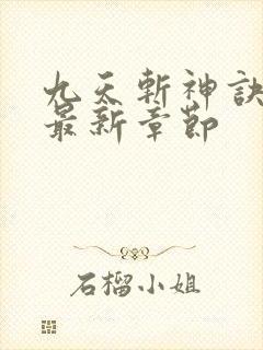 九天斩神诀林辰最新章节