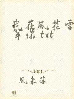 我在风花雪月里等你 txt