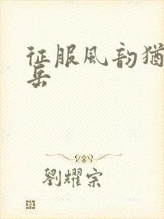 征服风韵犹存的岳封面