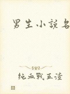 男生小说名字