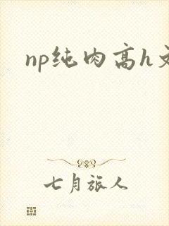 np纯肉高h文