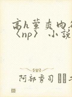 高h荤爽肉欲文〈np〉 小说封面