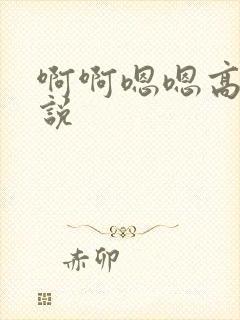 啊啊嗯嗯高h小说