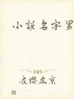 小说名字男生