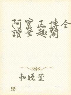 阿宾正传全文阅读笔趣阁