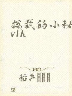 总裁的小秘书1v1h封面