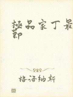 极品家丁最新章节