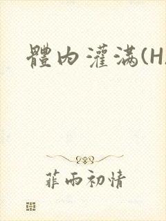 体内灌满(H)封面