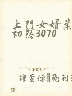 上门女婿叶辰萧初然3070