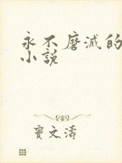 永不磨灭的番号小说封面