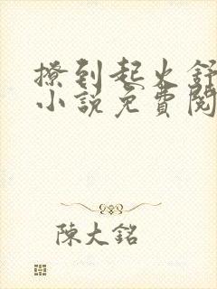 撩到起火舒漾的小说免费阅读全文