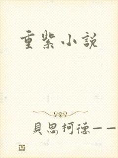 重紫小说