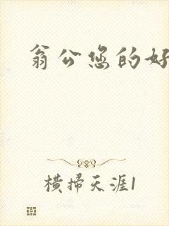 翁公您的好长呀封面