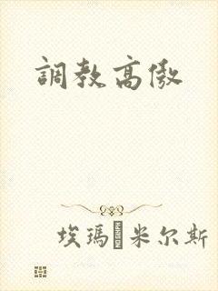 调教高傲