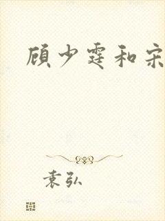 顾少霆和宋斯曼封面