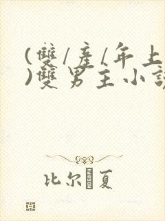 (双/产/年上)双男主小说