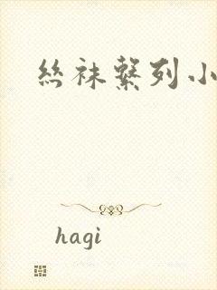 丝袜系列小说封面