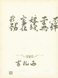 我家娘子,不对劲在线无弹窗