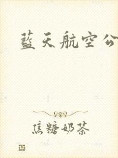 蓝天航空公司封面