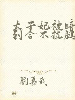 太子妃被暗卫C到合不拢腿