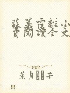 苏莱霍离小说免费阅读全文