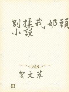 别揉我奶头嗯啊小说