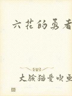 六花的勇者小说封面