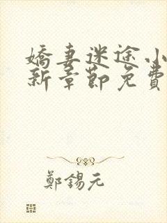 娇妻迷途小说最新章节免费阅读封面