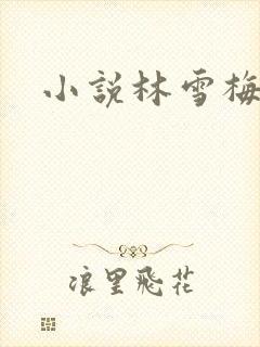 小说林雪梅
