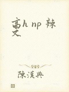 高h np 辣文